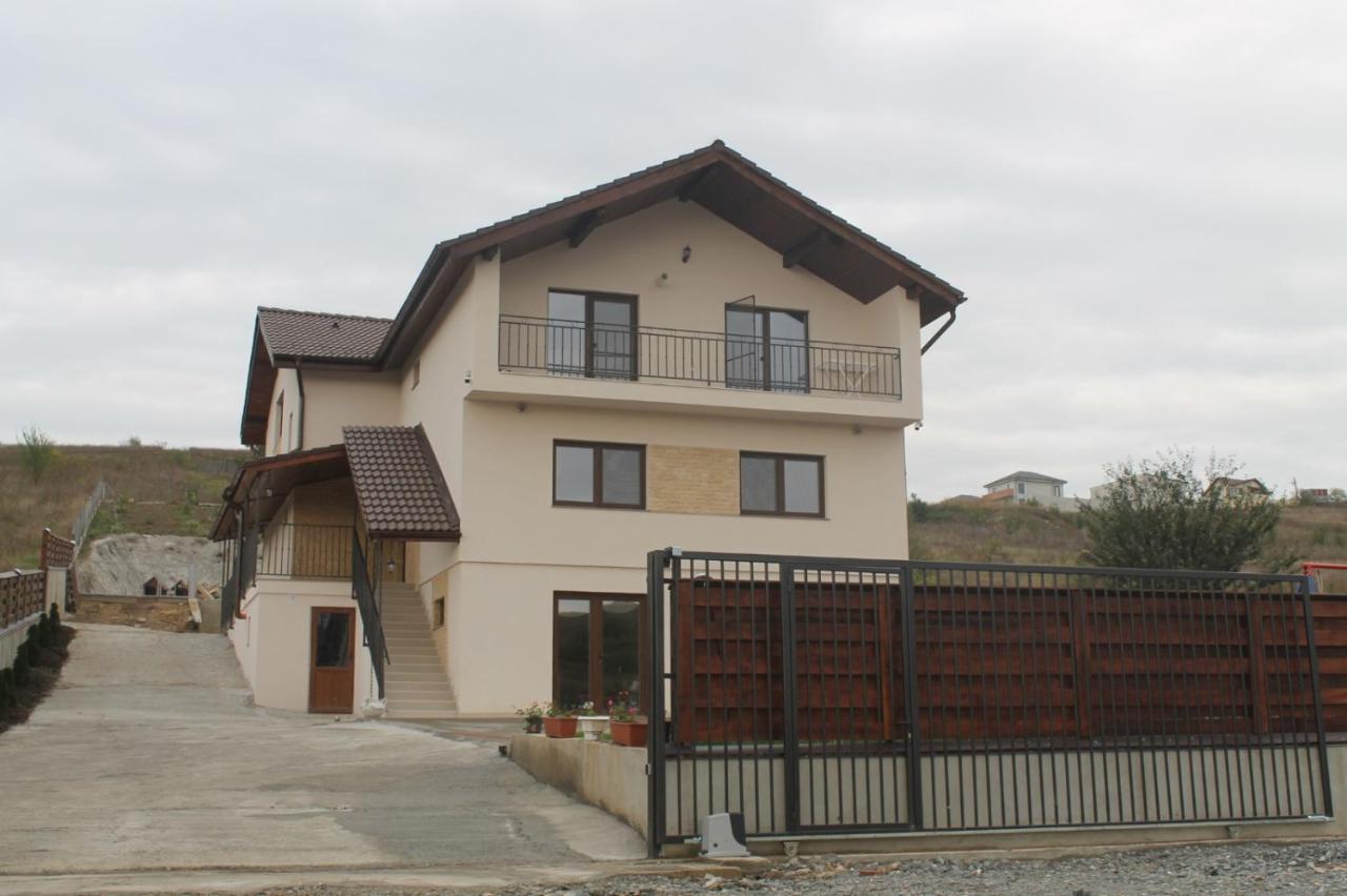 Pensiunea Giulia Home Dezmir Esterno foto