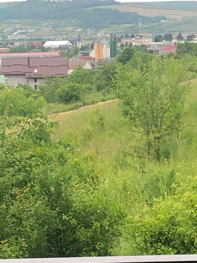 Pensiunea Giulia Home Dezmir Esterno foto